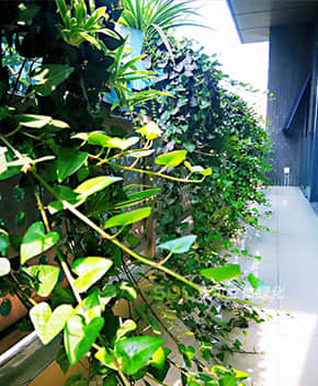 陽(yáng)臺(tái)花園解決方案