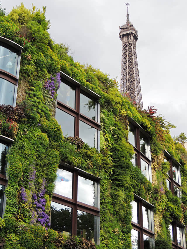 法國巴黎凱布朗利博物館MuséeduQuai Branly (5)-2.jpg