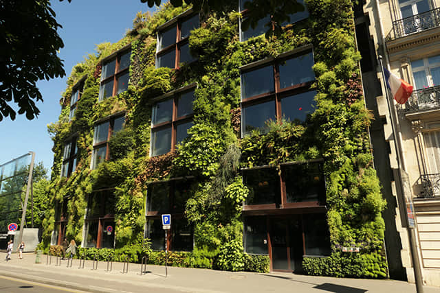 法國巴黎凱布朗利博物館MuséeduQuai Branly (22)-2.jpg