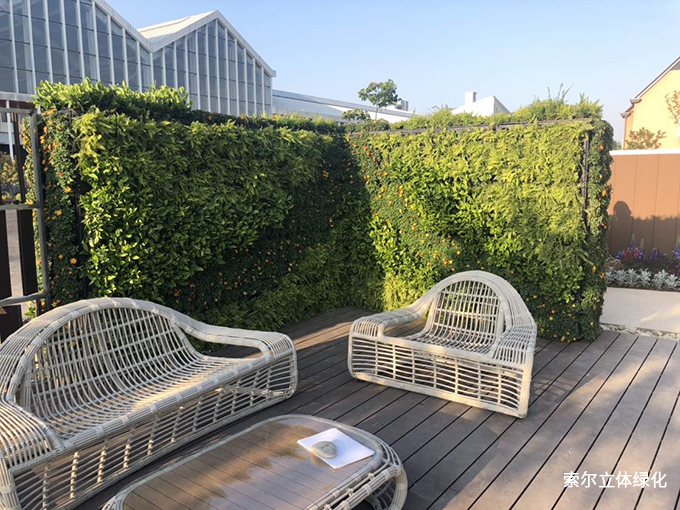2020世界花園大會植物墻40.jpg