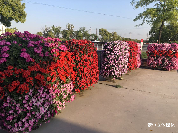 2020世界花園大會41花墻.jpg