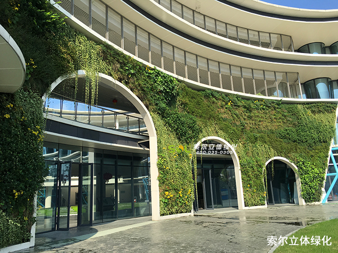 05未來科技城小學(xué)垂直綠化項(xiàng)目.jpg