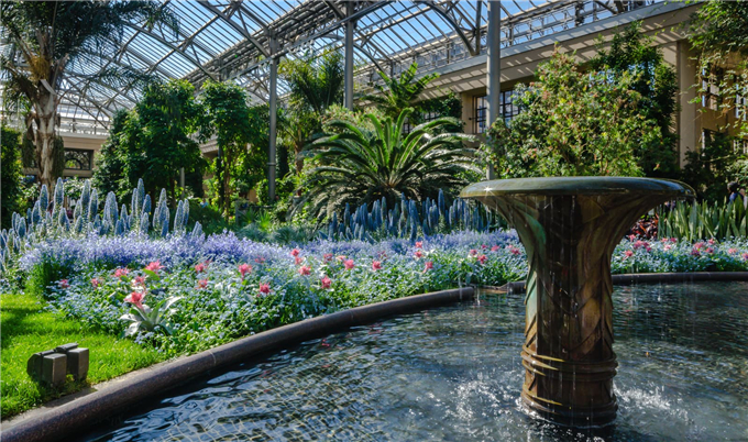 生態餐廳溫室花園 (5).jpg