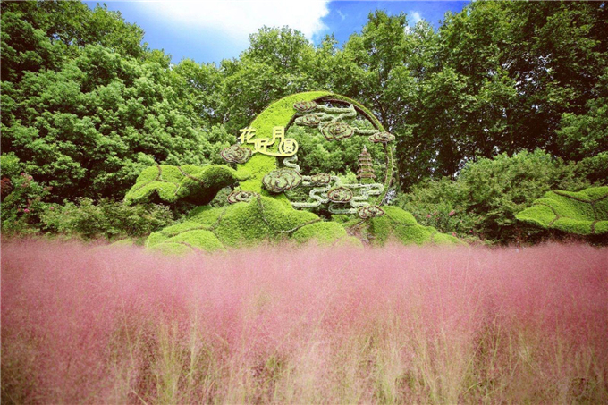 國(guó)慶立體花壇杭州西湖北線蘇堤旁的“花好月圓”-杭州西湖風(fēng)景名勝區(qū)管委會(huì)01.jpg