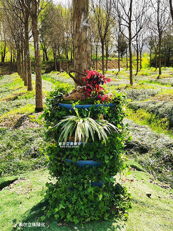 21索爾行道樹綠化 (17).jpg