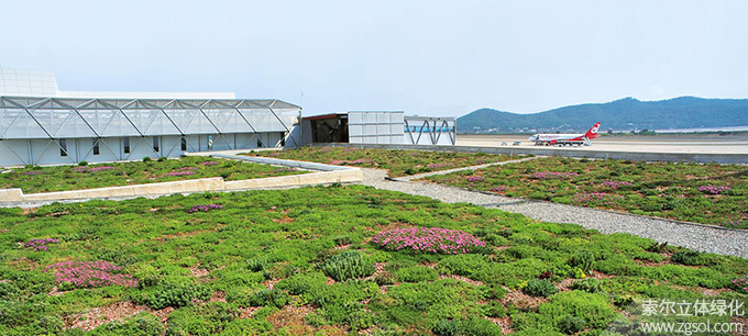 28西班牙伊比沙島機(jī)場(chǎng)航站樓屋頂綠化02.jpg